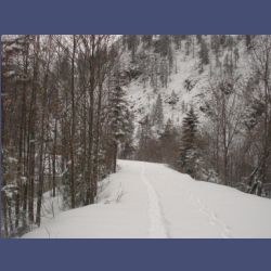 2013-02-02_Rappinschlucht_Lainlalm (042).jpg